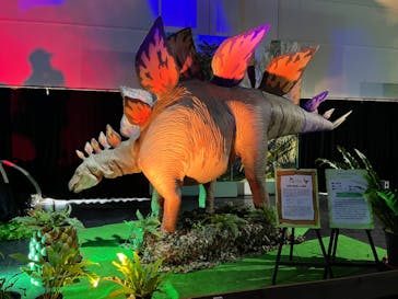 ネオパークオキナワに投稿された画像（2022/8/20）