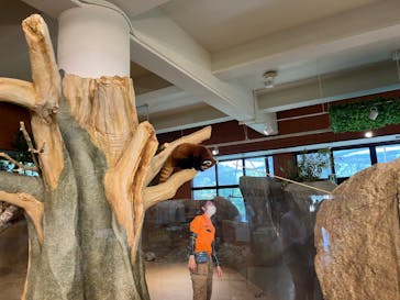 ネオパークオキナワに投稿された画像（2022/8/20）