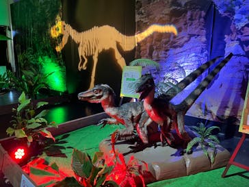 ネオパークオキナワに投稿された画像（2022/8/20）