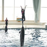 アクアワールド茨城県大洗水族館に投稿された画像（2022/8/20）