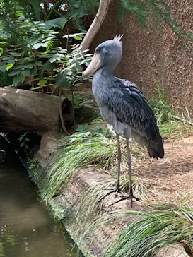 神戸どうぶつ王国に投稿された画像（2022/8/20）