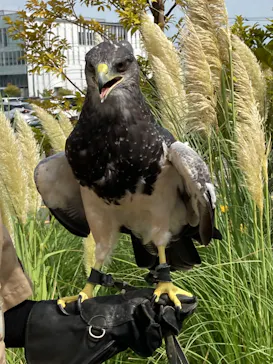 神戸どうぶつ王国に投稿された画像（2022/8/20）