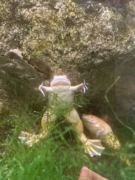 天王寺動物園に投稿された画像（2022/8/20）
