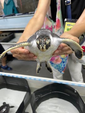 南知多ビーチランド＆南知多おもちゃ王国に投稿された画像（2022/8/20）