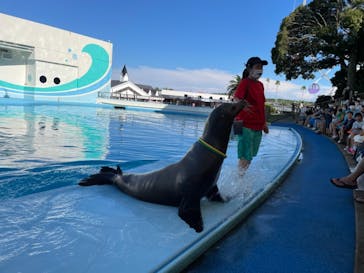 南知多ビーチランド＆南知多おもちゃ王国に投稿された画像（2022/8/20）