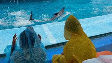 南知多ビーチランド＆南知多おもちゃ王国に投稿された画像（2022/8/20）