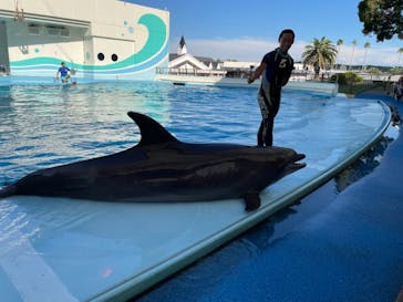 南知多ビーチランド＆南知多おもちゃ王国に投稿された画像（2022/8/20）