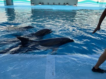 南知多ビーチランド＆南知多おもちゃ王国に投稿された画像（2022/8/20）