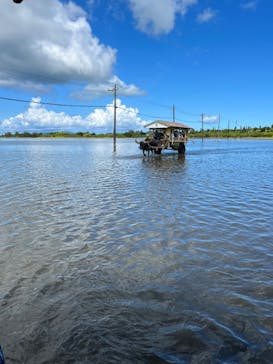 西表島 ADVENTURE PiPi（アドベンチャーピピ）に投稿された画像（2022/8/20）