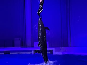 アクアワールド茨城県大洗水族館に投稿された画像（2022/8/20）