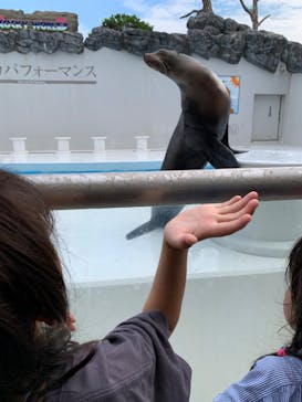 鴨川シーワールドに投稿された画像（2022/8/20）