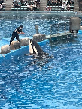 名古屋港水族館に投稿された画像（2022/8/20）