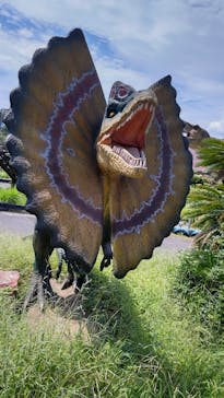 伊豆ぐらんぱる公園に投稿された画像（2022/8/20）