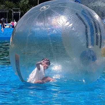 伊豆ぐらんぱる公園に投稿された画像（2022/8/20）