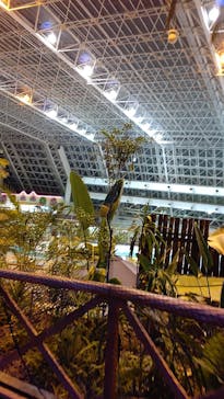 東京サマーランドに投稿された画像（2022/8/20）