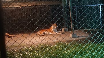 那須サファリパークに投稿された画像（2022/8/20）