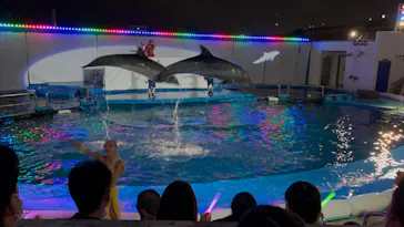 仙台うみの杜水族館に投稿された画像（2022/8/20）