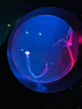 仙台うみの杜水族館に投稿された画像（2022/8/20）