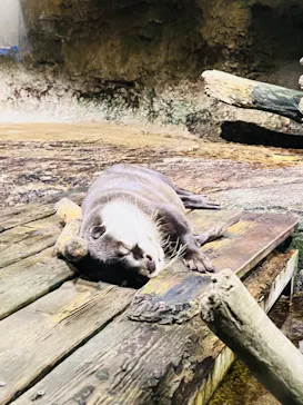 仙台うみの杜水族館に投稿された画像（2022/8/20）