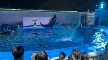 仙台うみの杜水族館に投稿された画像（2022/8/20）