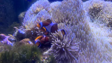 横浜・八景島シーパラダイスに投稿された画像（2022/8/20）