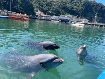 下田海中水族館に投稿された画像（2022/8/20）