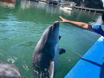 下田海中水族館に投稿された画像（2022/8/20）
