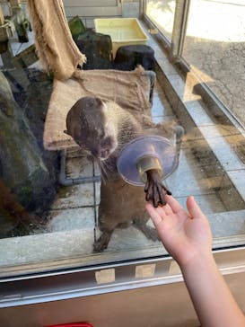 下田海中水族館に投稿された画像（2022/8/20）