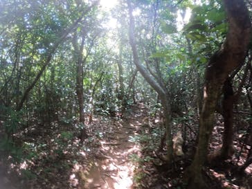 西表島 ADVENTURE PiPi（アドベンチャーピピ）に投稿された画像（2022/8/20）