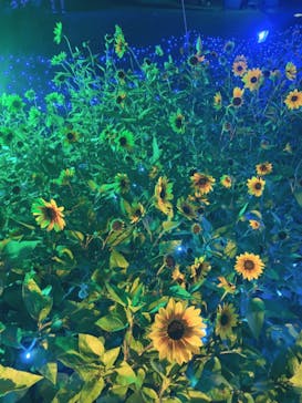 せんだい農業園芸センター　みどりの杜に投稿された画像（2022/8/20）