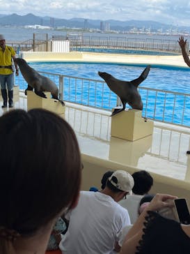 マリンワールド海の中道に投稿された画像（2022/8/20）