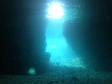 武藤潜水に投稿された画像（2022/8/21）