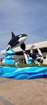 鴨川シーワールドに投稿された画像（2022/8/21）