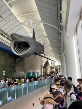 アクアワールド茨城県大洗水族館に投稿された画像（2022/8/21）