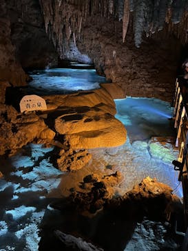 おきなわワールドに投稿された画像（2022/8/21）