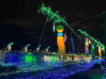 せんだい農業園芸センター　みどりの杜に投稿された画像（2022/8/21）