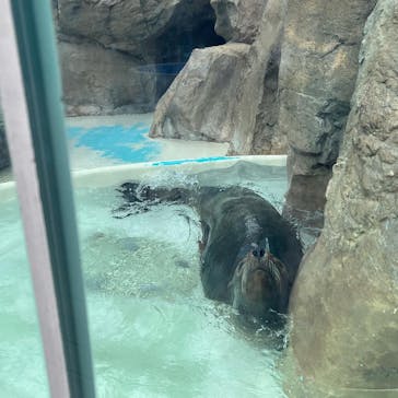 サンシャイン水族館に投稿された画像（2022/8/21）