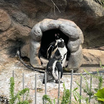 サンシャイン水族館に投稿された画像（2022/8/21）