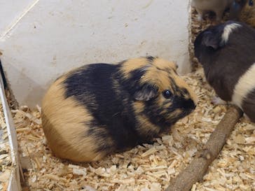 アニタッチみなとみらいに投稿された画像（2022/8/21）