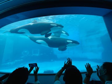 名古屋港水族館に投稿された画像（2022/8/21）