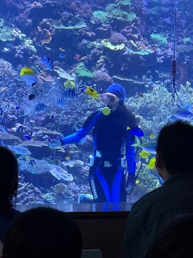 大分マリーンパレス水族館 「うみたまご」に投稿された画像（2022/8/21）