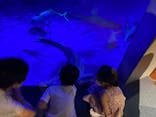 新江ノ島水族館に投稿された画像（2022/8/21）
