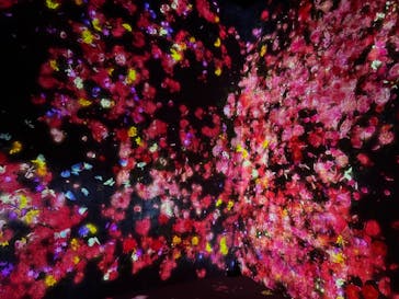 森ビル デジタルアート ミュージアム：エプソン チームラボボーダレスに投稿された画像（2022/8/21）
