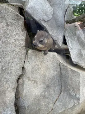 神戸どうぶつ王国に投稿された画像（2022/8/21）