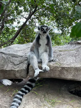 神戸どうぶつ王国に投稿された画像（2022/8/21）