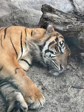 神戸どうぶつ王国に投稿された画像（2022/8/21）