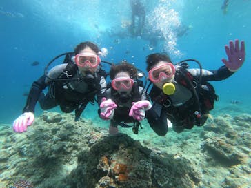 武藤潜水に投稿された画像（2022/8/21）