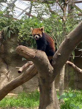 神戸どうぶつ王国に投稿された画像（2022/8/21）