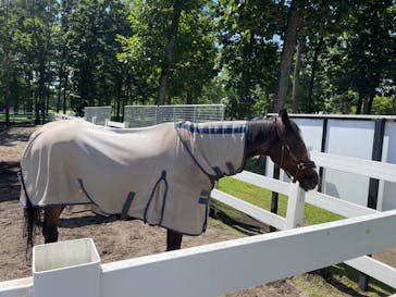 ノーザンホースパークに投稿された画像（2022/8/21）