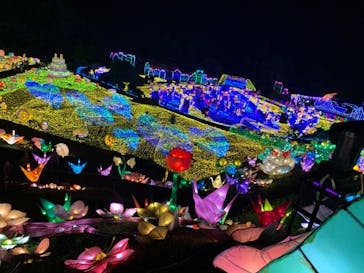 伊豆ぐらんぱる公園に投稿された画像（2022/8/21）